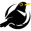 Ouzel Logo
